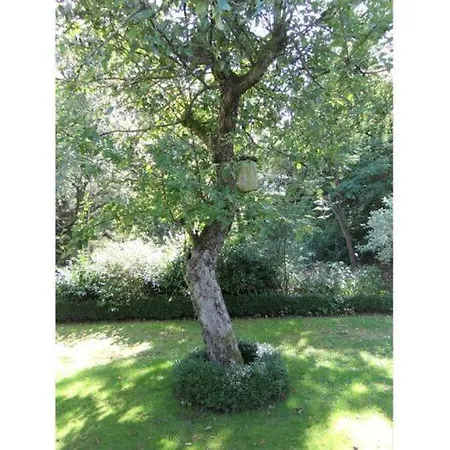 At The Apple Tree * Faßberg